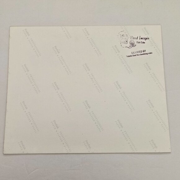 Phil Lesh Grateful Dead Licensed Photo Print By Rob Cole - Picture 4 of 8